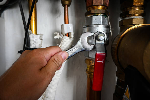 Best Plumbing Repair Near Me  in Essex, IL